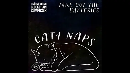 Take Out The Batteries image