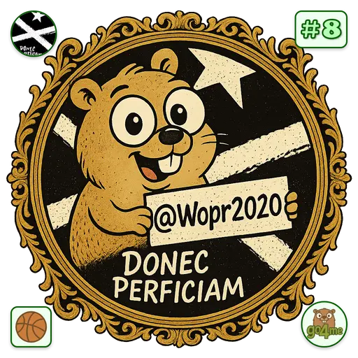 go4.me | Kagatrons 🏅 | @Wopr2020 image