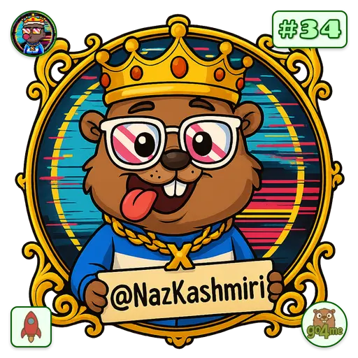 go4.me | 🍊Naz Khan 🌱 | @NazKashmiri image