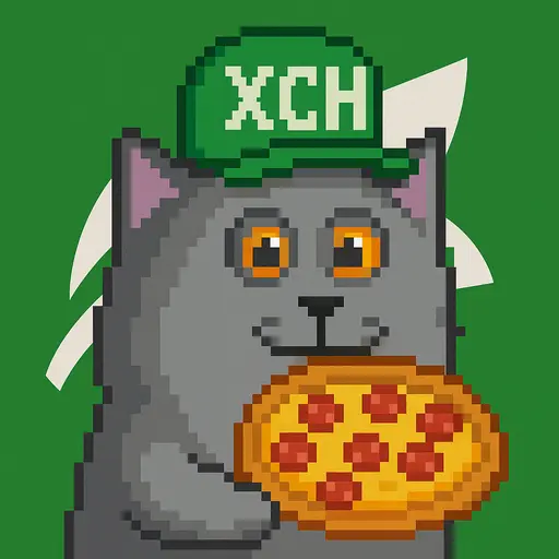 CBDC Friend #9 image