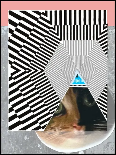 pc023 - The right to cat videos image