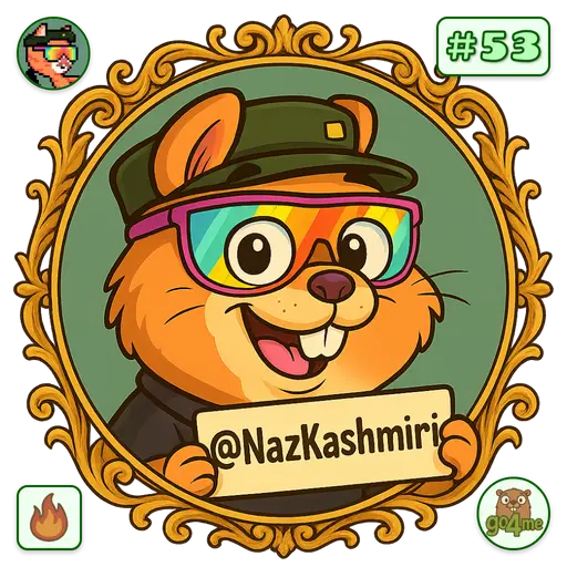 go4.me | 🍊Naz Khan 🌱 | @NazKashmiri image