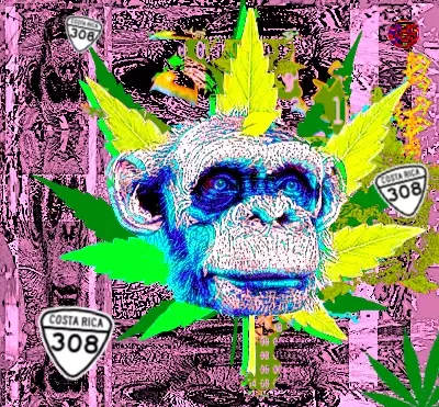 𝙶𝚘𝚕𝚍𝚎𝚗 𝙲𝚑𝚒𝚊 𝙵𝚊𝚛𝚖𝚎𝚛 #308/420 ミ★ MONDO KNOWS GOOD GREEN GROWS FREE GLOBALLY ★彡 <$>Take A Step In The Best Direction And Farm For The Good Of All®</$> image