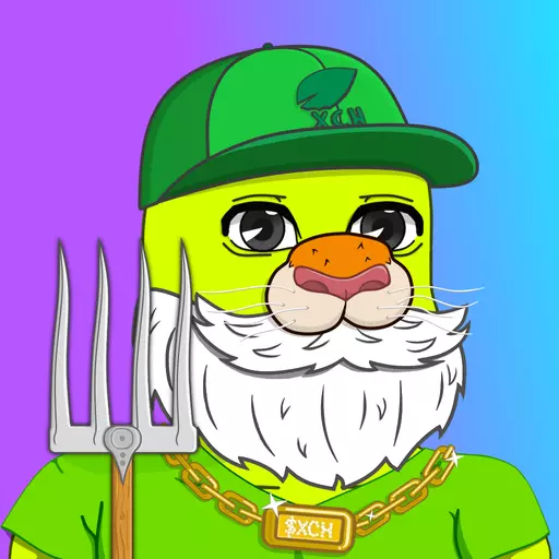 ChiFi Degen #593 image