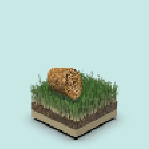 Chia Plot 101 image