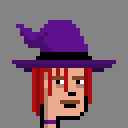 Wizard Punk 29 image