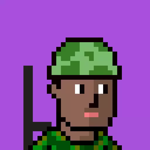 Soldier #2769 image