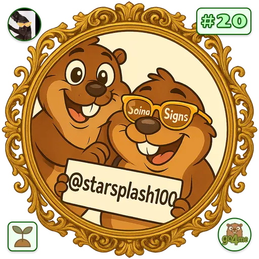 go4.me | vision sign⛺ | @starsplash100 image