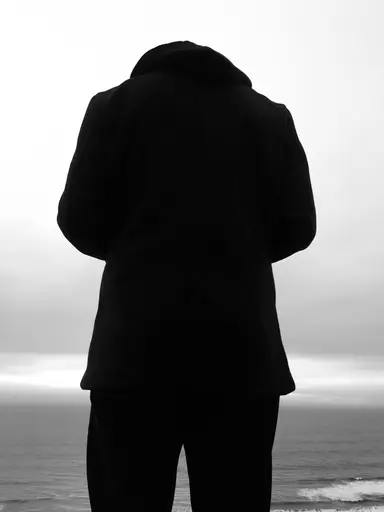 The One Who Stayed Silent image