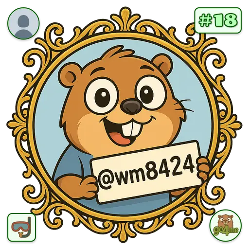 go4.me | 老甪 | @wm8424 image