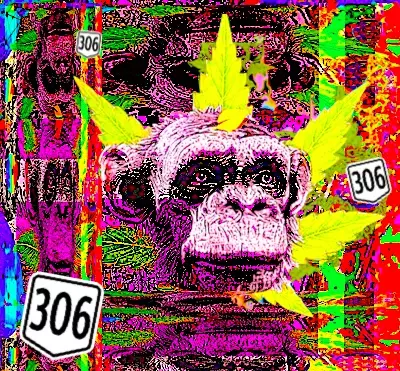 𝙶𝚘𝚕𝚍𝚎𝚗 𝙲𝚑𝚒𝚊 𝙵𝚊𝚛𝚖𝚎𝚛 #306/420 ミ★ HEY YOU MONDO TIME TRAVELS AND REPORTS ACCURATELY MOSTLY ★彡 <$>One Node One Vote Ushers In New Better®</$> image