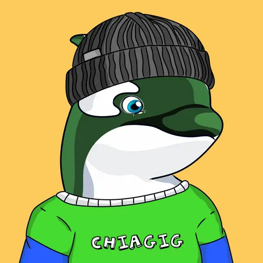 CHIAORCA #46 image