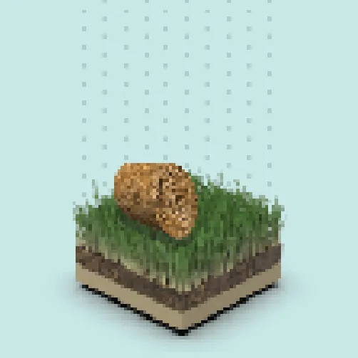 Chia Plot 99 image