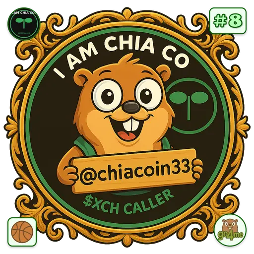 go4.me | CHIA COIN $XCH CALLER | @chiacoin33 image