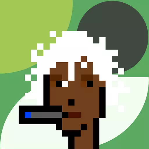 Chunk #8030 image