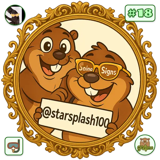 go4.me | vision sign⛺ | @starsplash100 image
