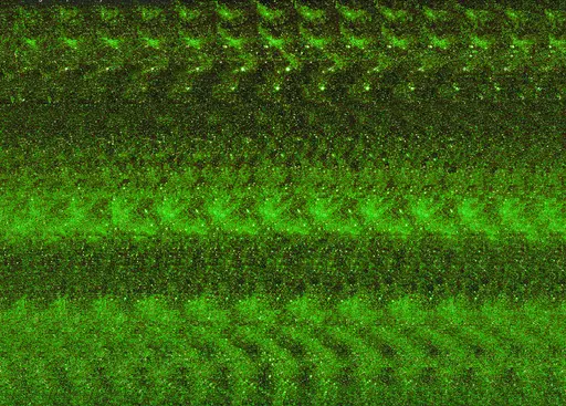 TheHiddenChia #59 image