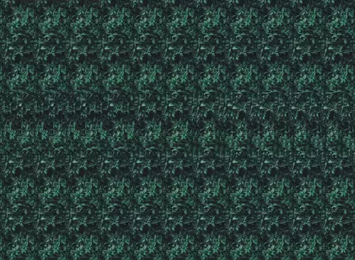 TheHiddenChia #53 image