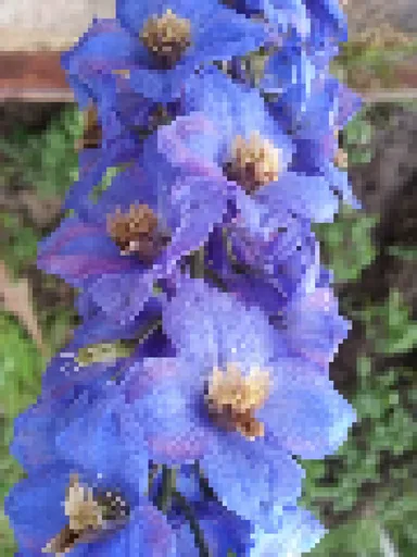 12 Pixels - Flower (f43e81ec-a660-4a69-85e2-548e301af9c2) image