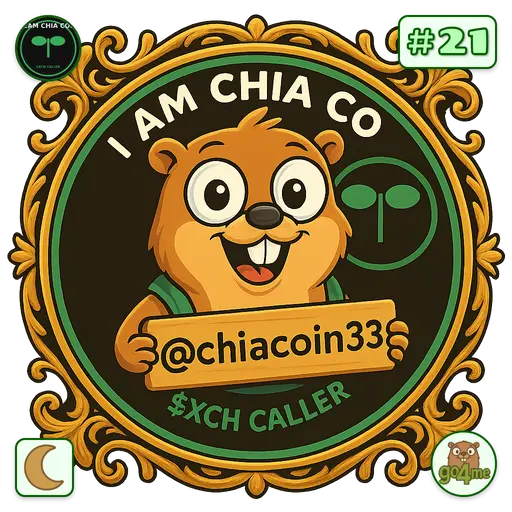 go4.me | CHIA COIN $XCH CALLER | @chiacoin33 image