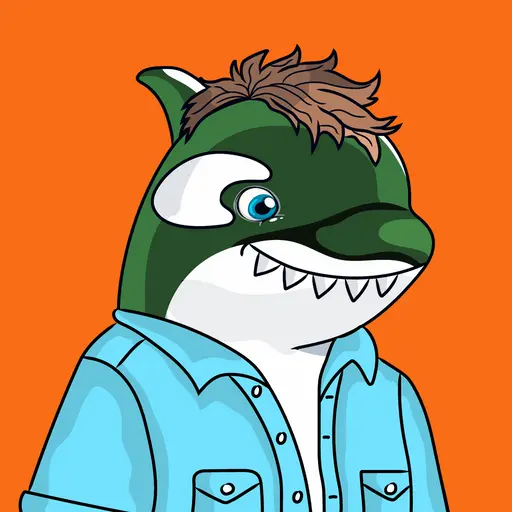CHIAORCA #113 image