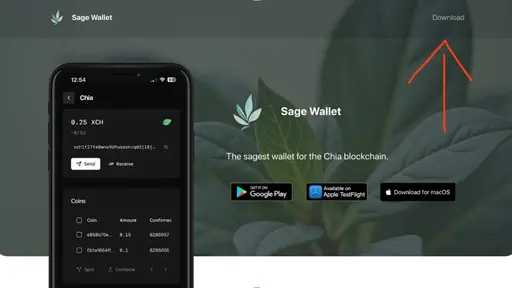 Verifying TangBear in the TangGang Discord via Sage Wallet image