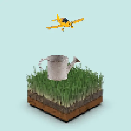 Chia Plot 30 image