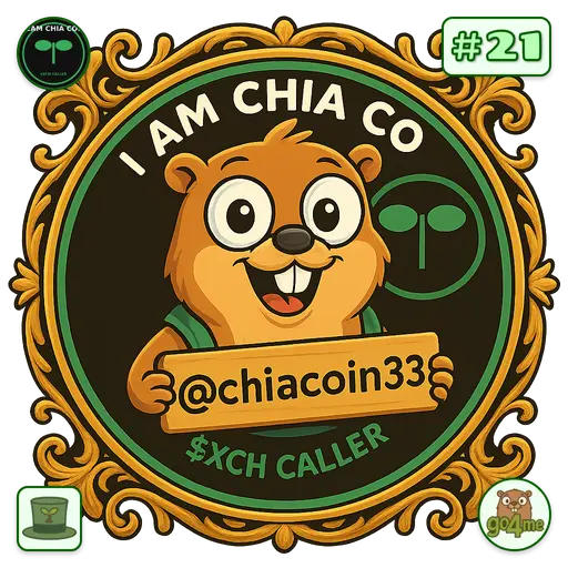 go4.me | CHIA COIN $XCH CALLER | @chiacoin33 image